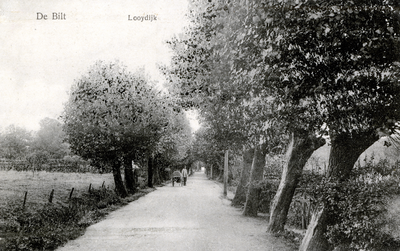 8115 Gezicht in de Looijdijk te De Bilt uit het westen.